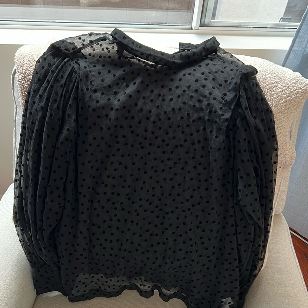 Silk sheer polka dot blouse